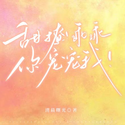 他的小偏爱