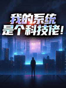 我的系统是个科技佬！